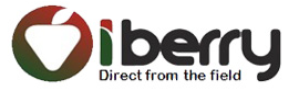 iberry logo